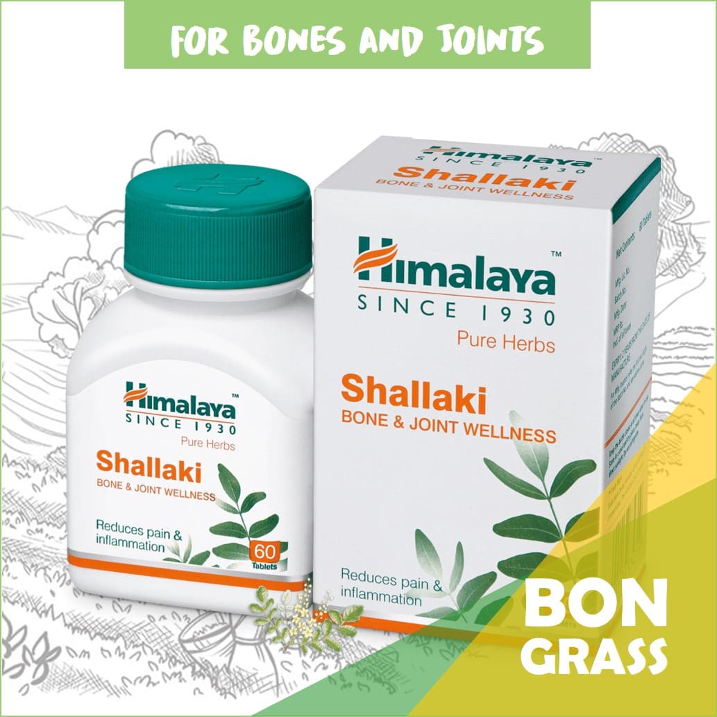 Shallaki himalaya. Босвеллия шаллаки. Shallaki himalaya. Shallaki himalaya. Шаллаки shallaki.