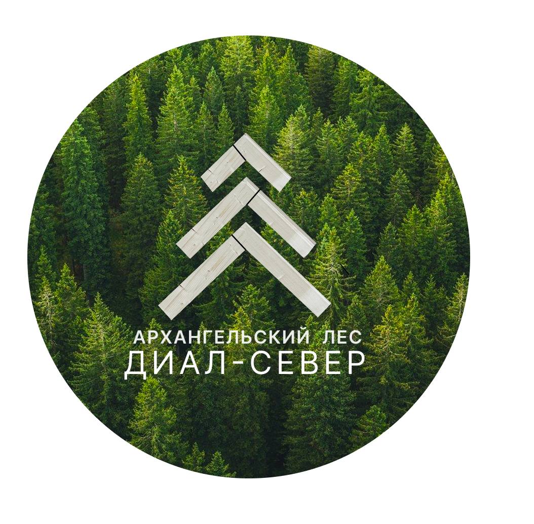 АРХАНГЕЛЬСКИЙ ЛЕС ДИАЛ-СЕВЕР