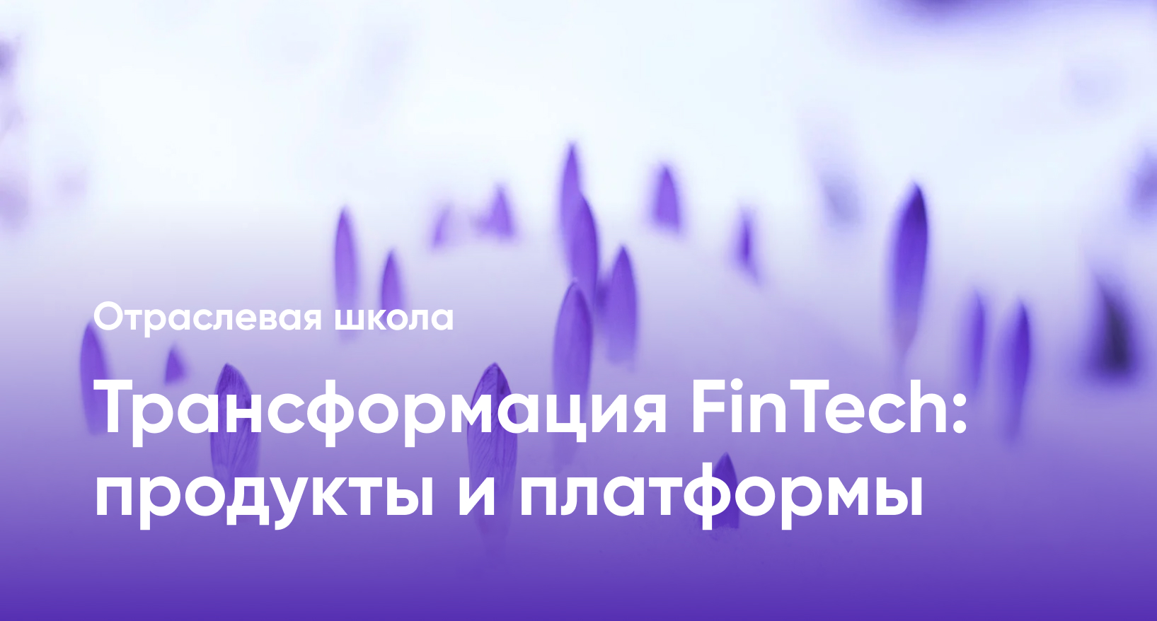 Трансформация FinTech: продукты и платформы | Отраслевые школы Центра  дизайн-мышления