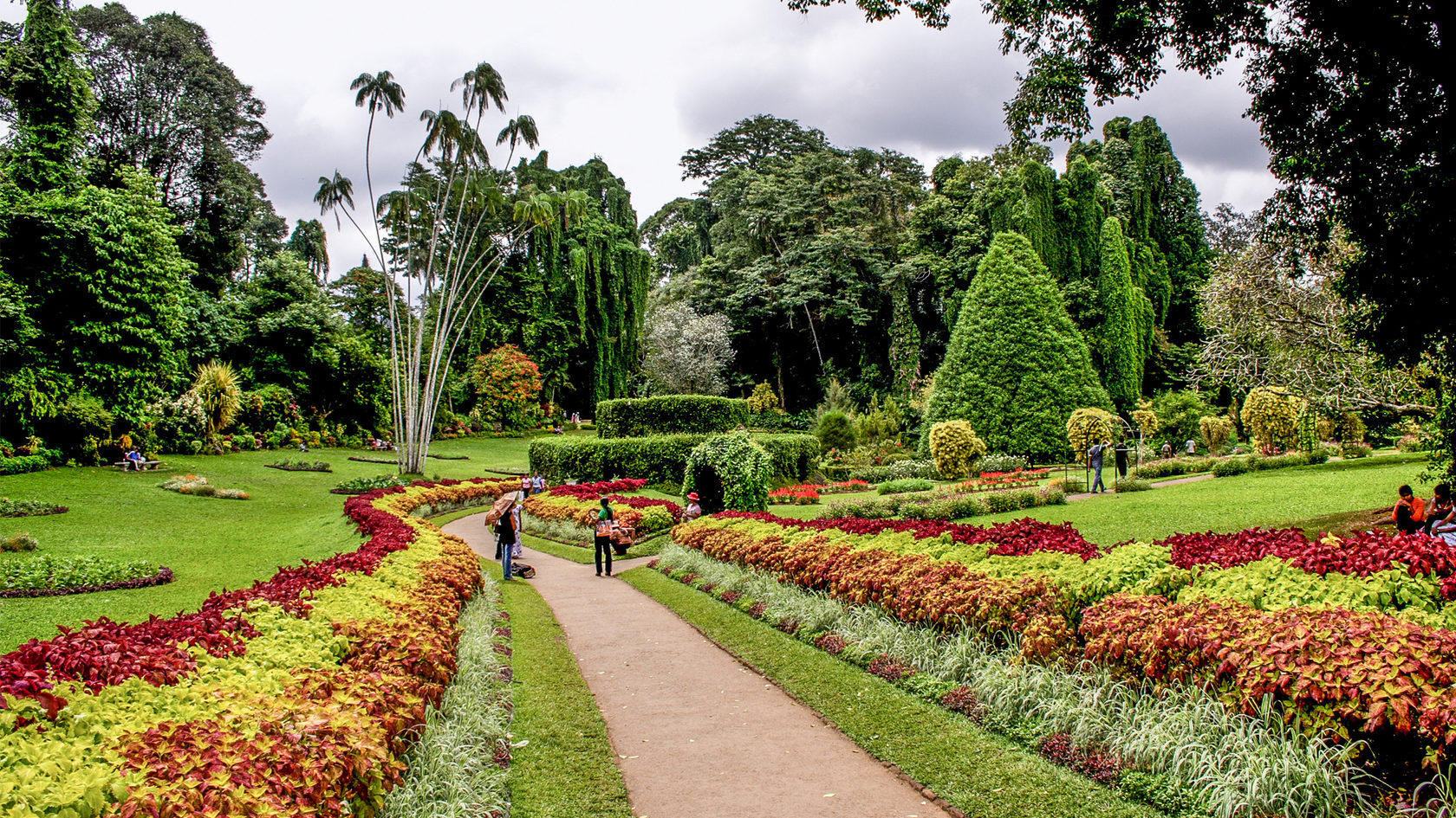 Шри Ланка Ботанический сад Канди