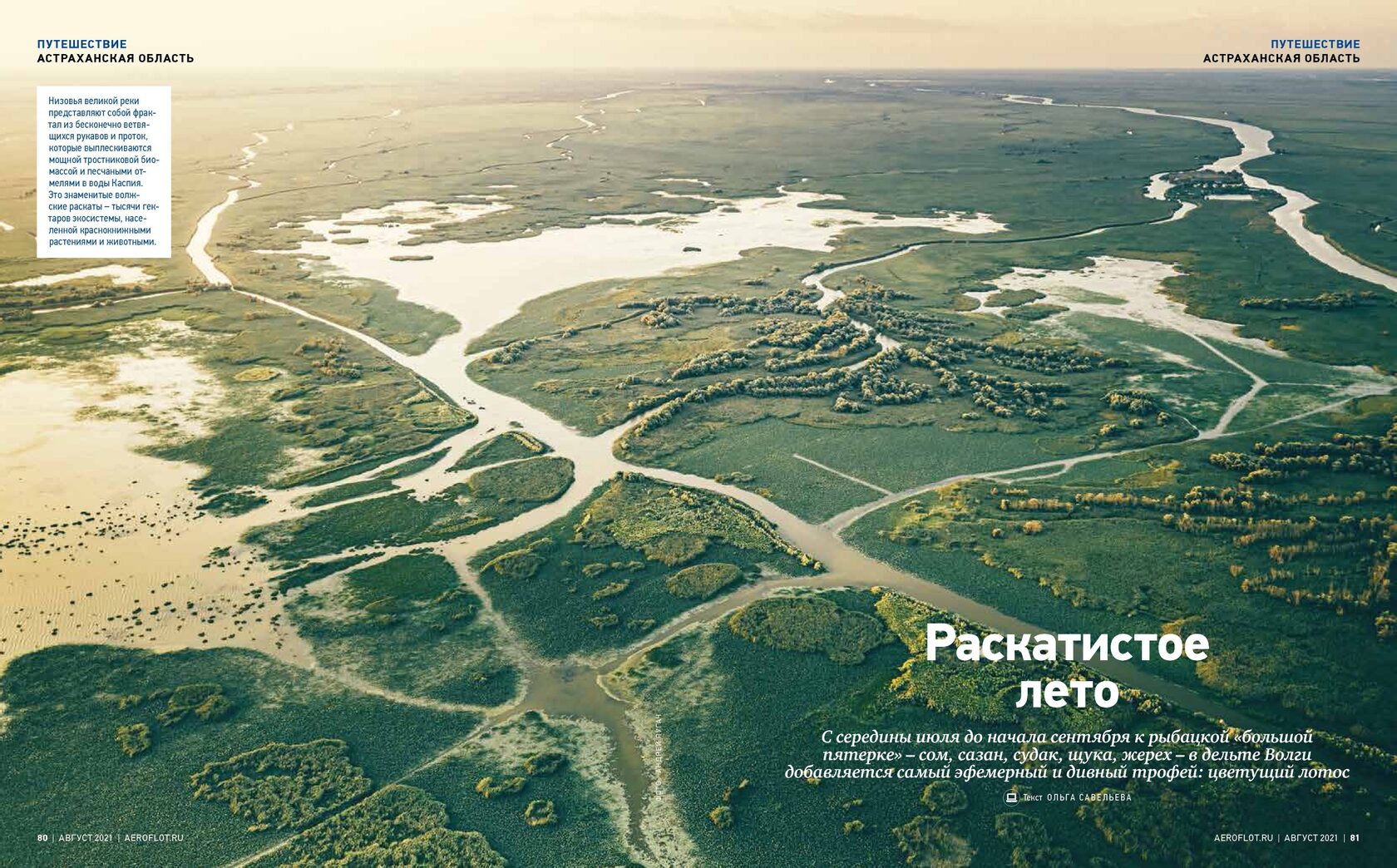 Рп5 спокойная. Дельта реки Волга в Астрахани. Дельта Волги Астрахань вид сверху. Дельта Волги рисунок. Дельта Волги летом, штиль.