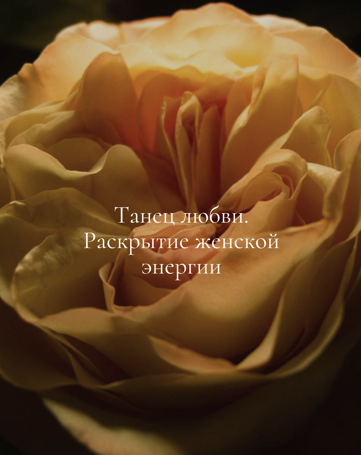 йога
