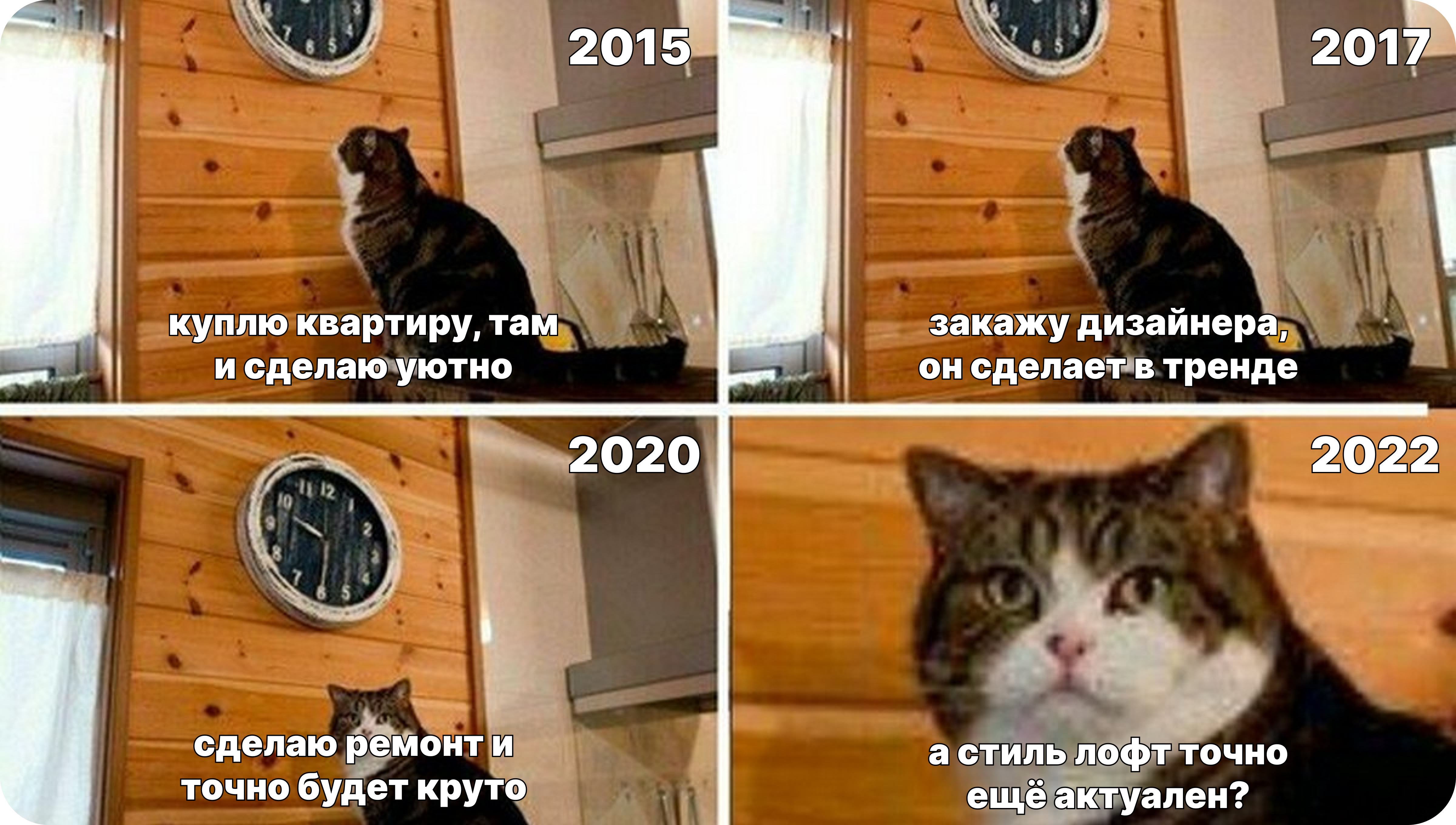 Кот мем пора
