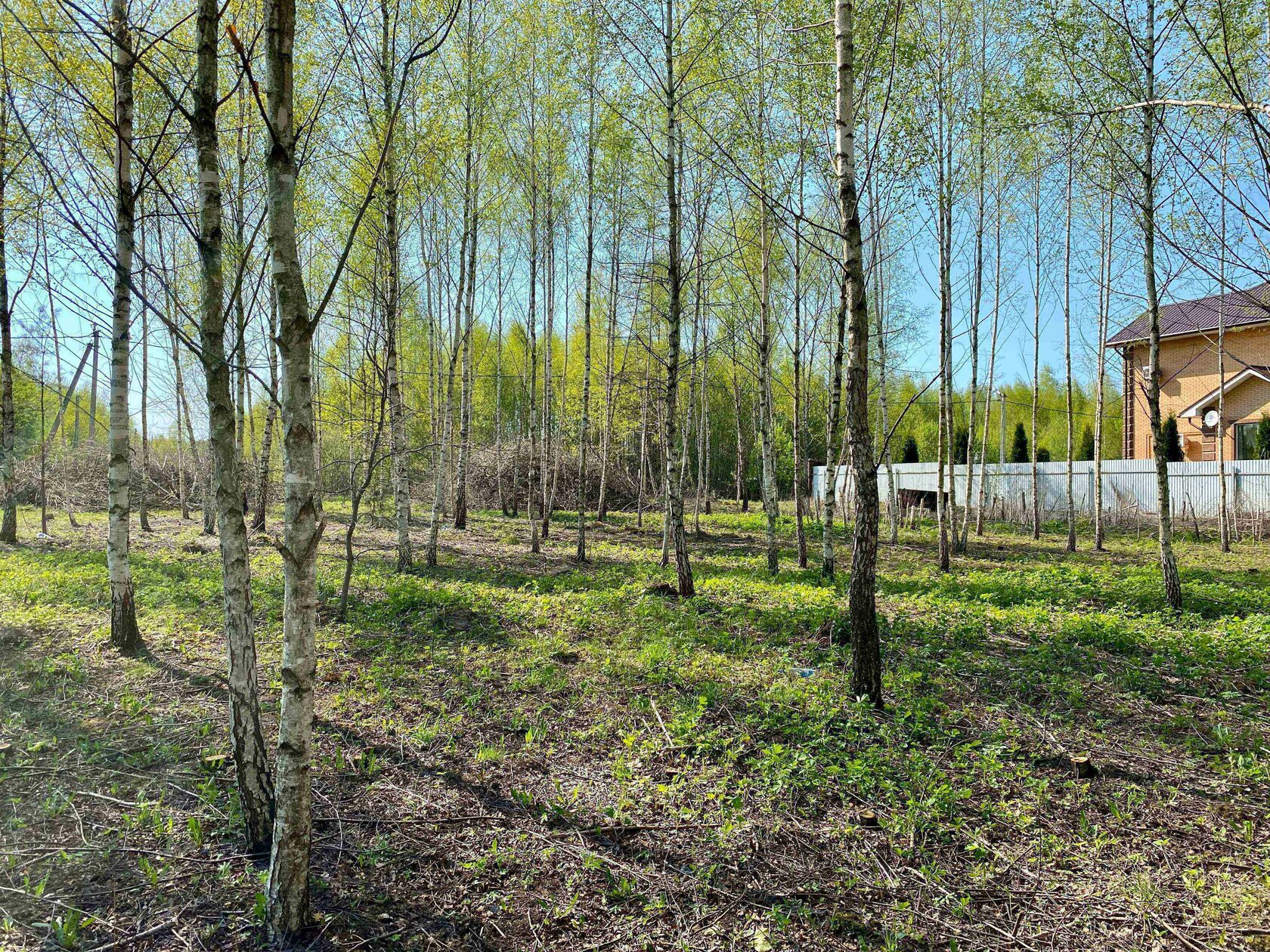 Парк земля. Парк участок земельный. Комсомольский парк Заокский. Турбаза Октава Заокский р-н п Велегож. СНТ Велегож Тульская область.