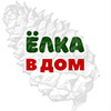 Елка в Дом