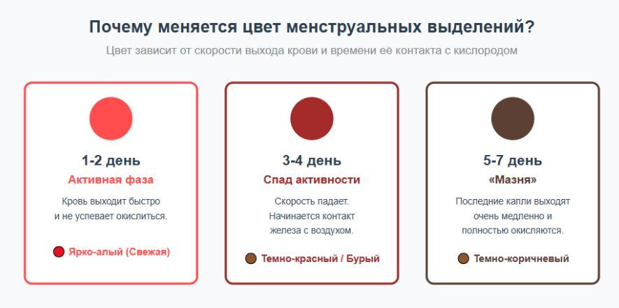 цвет выделений таблица сравнения