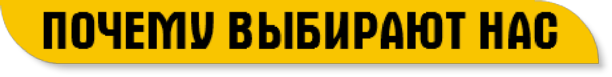 Мы выбираем нас выбирают 41