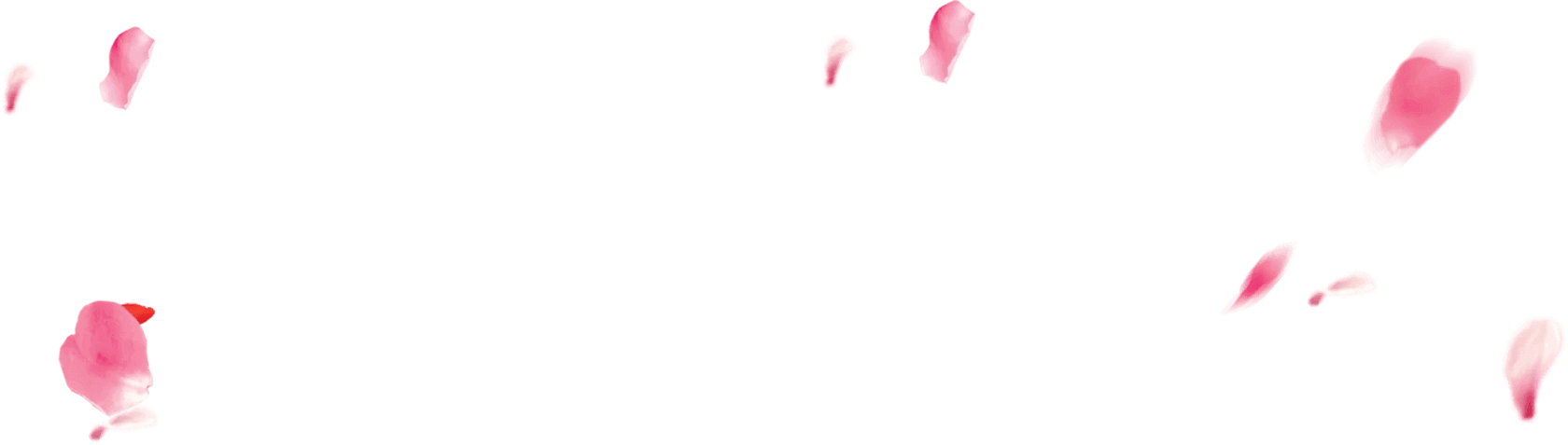 Консультация флориста