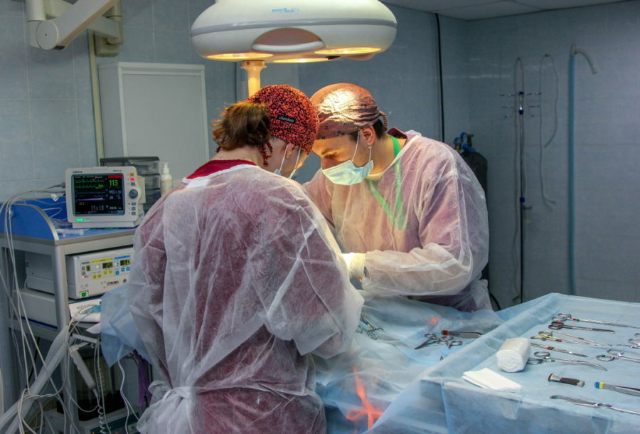 Ветеринарная хирургия в СПб для кошек, собак, грызунов и экзотических ...