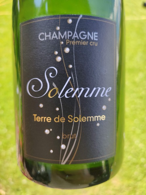 Terre de Solemme Brut NV