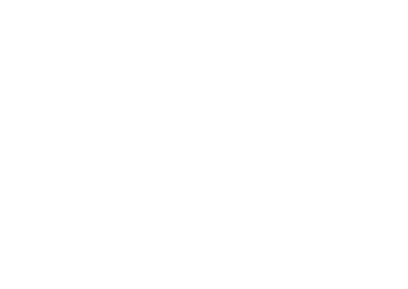Аллея чемпионов