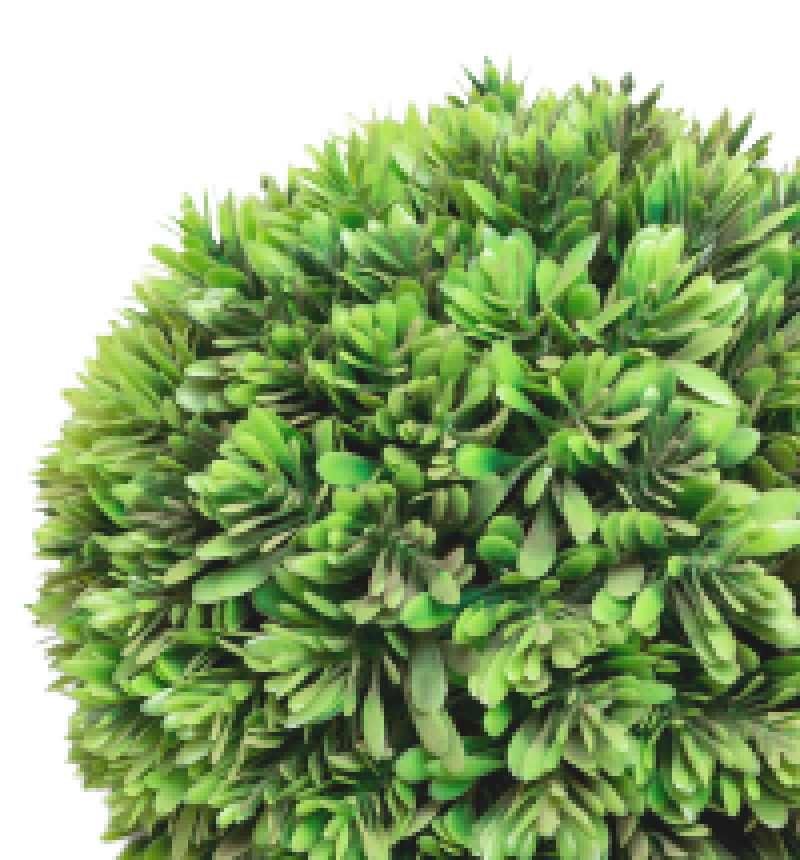 Версаль Садовый центр