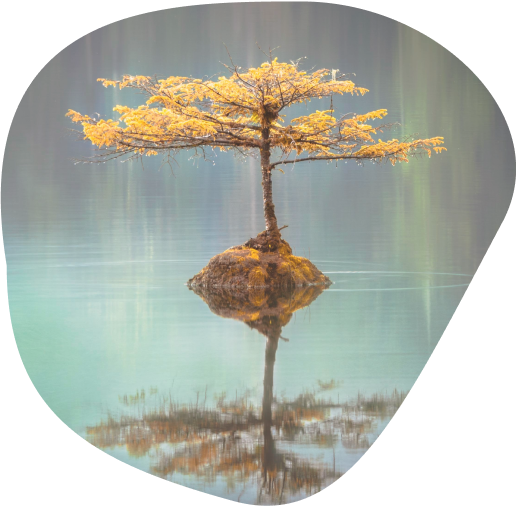 Медитация – это легко, доступно и безопасно для каждого