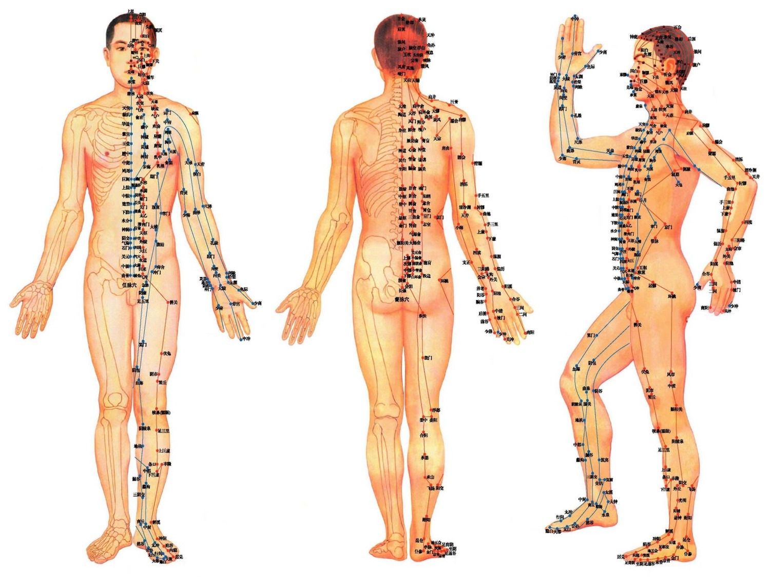 Телесные практики: 6 упражнений от врача-психотерапевта на принятие и понимание своего тела