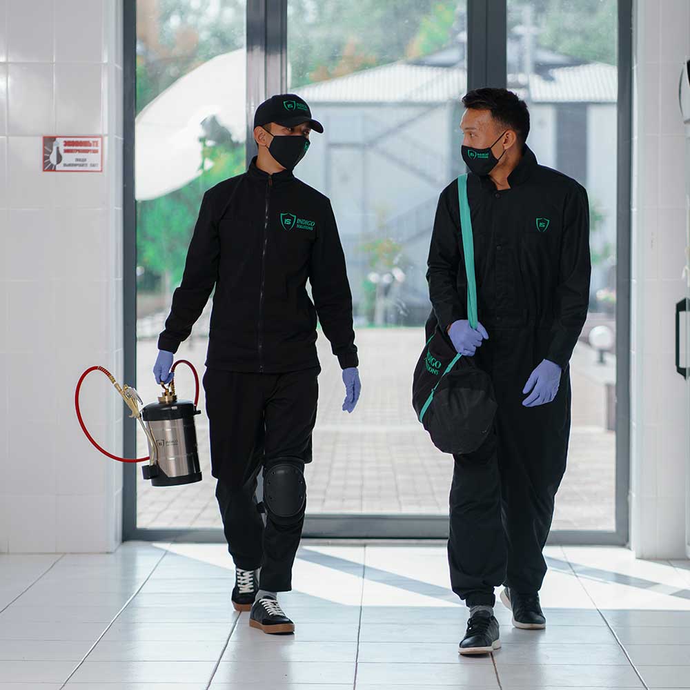 уничтожение тараканов и мышей