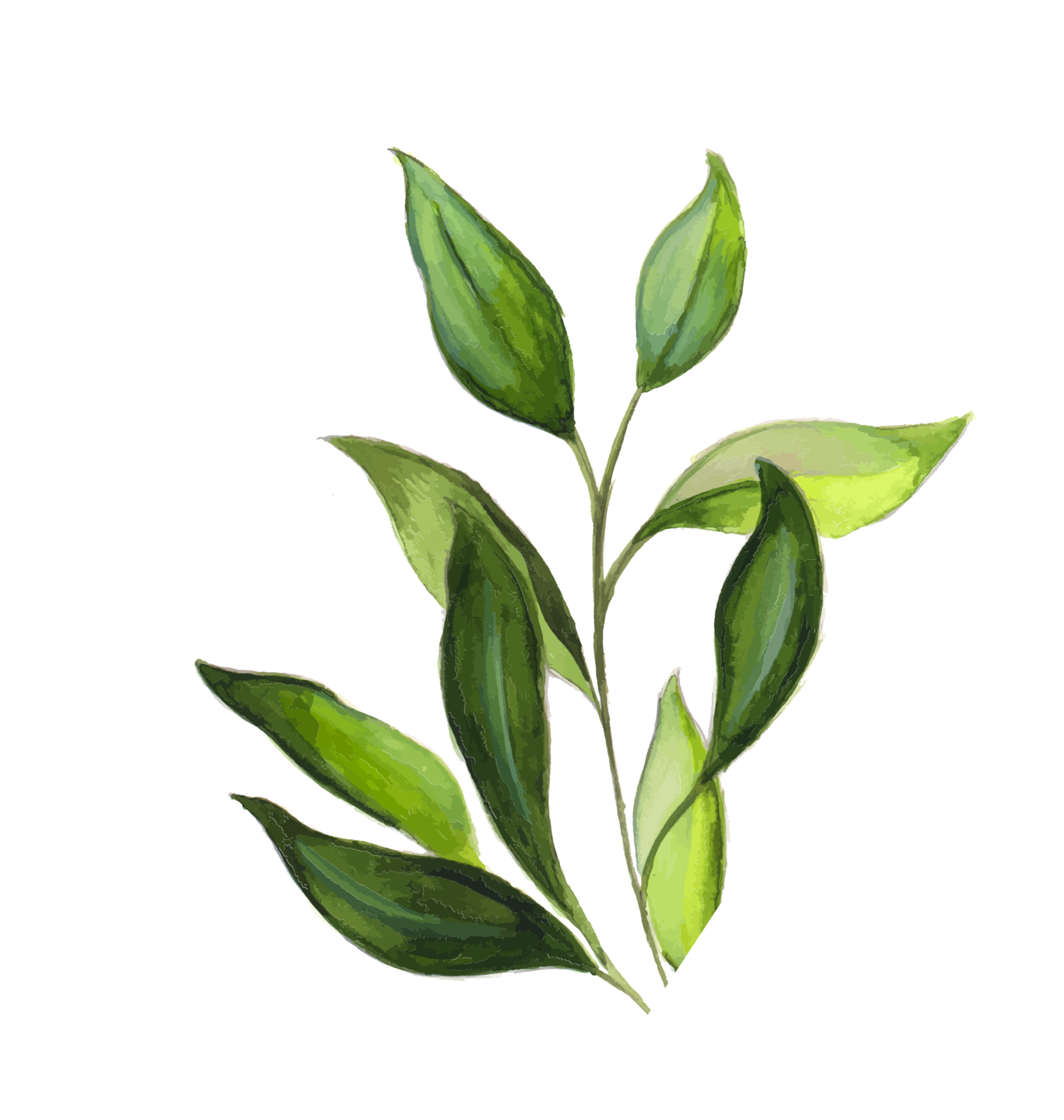 натуральная косметика, магазин профессиональной косметики, крем для ног, крем для ног с мочевиной, крем для ног купить, масло для ногтей, масло монарды для ногтей, масло для ногтей купить, косметика для ногтей, дезодорант для ног