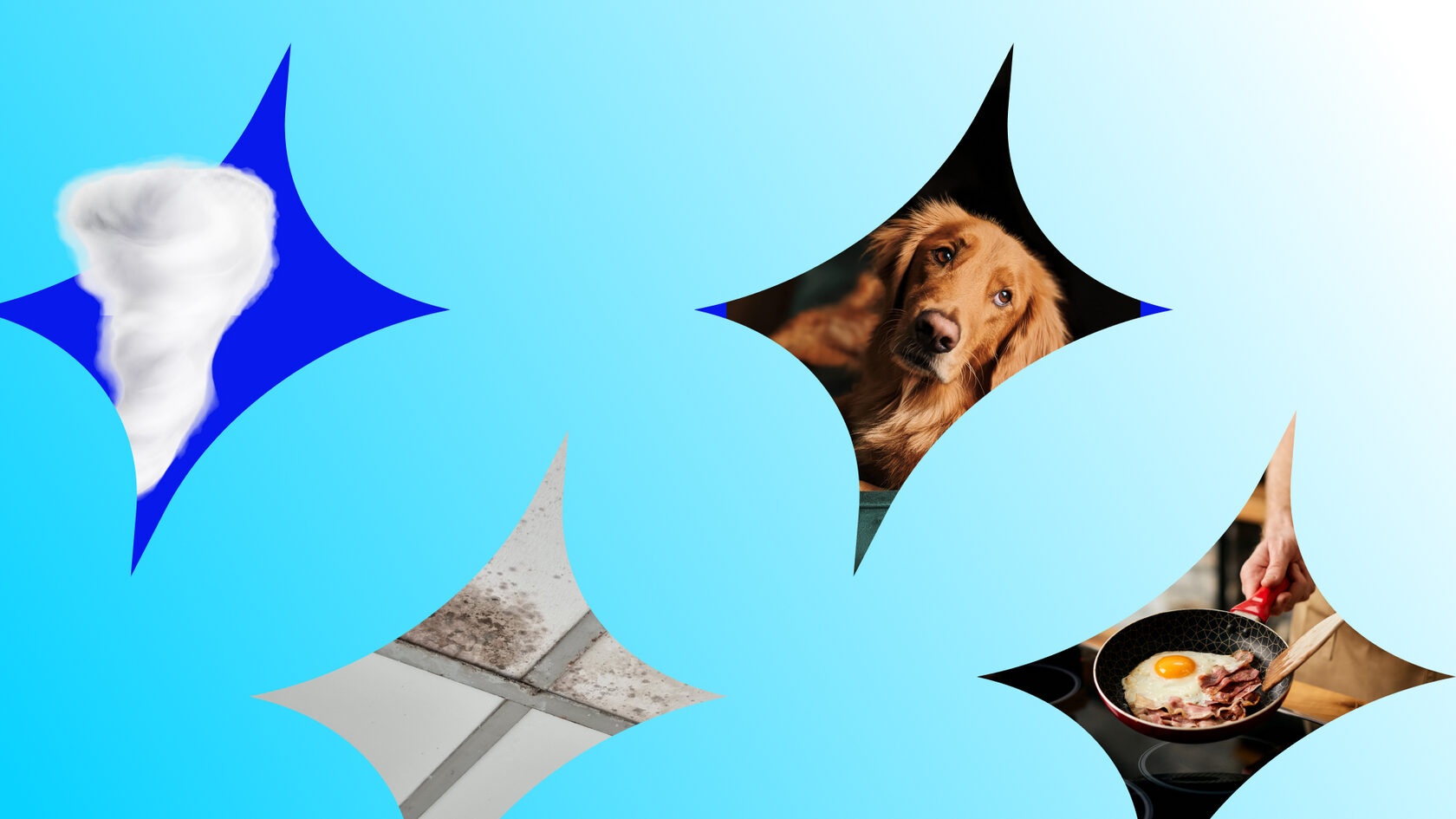 Источники стойких запахов в квартире: дым, влажность, животные и приготовление пищи.