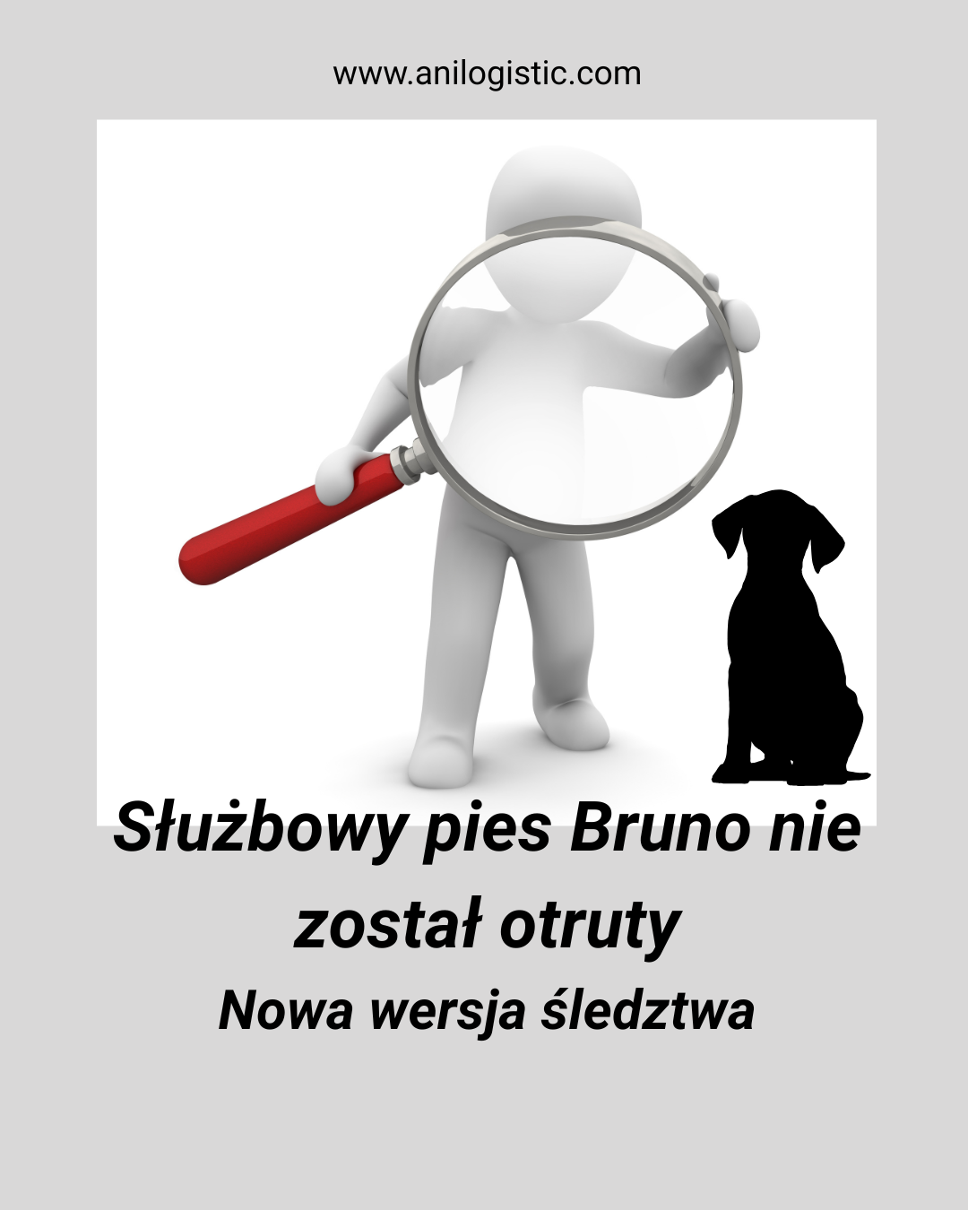 Pies służbowy Bruno — śledztwo w sprawie śmierci i ustalenia prokuratury wykluczające otrucie