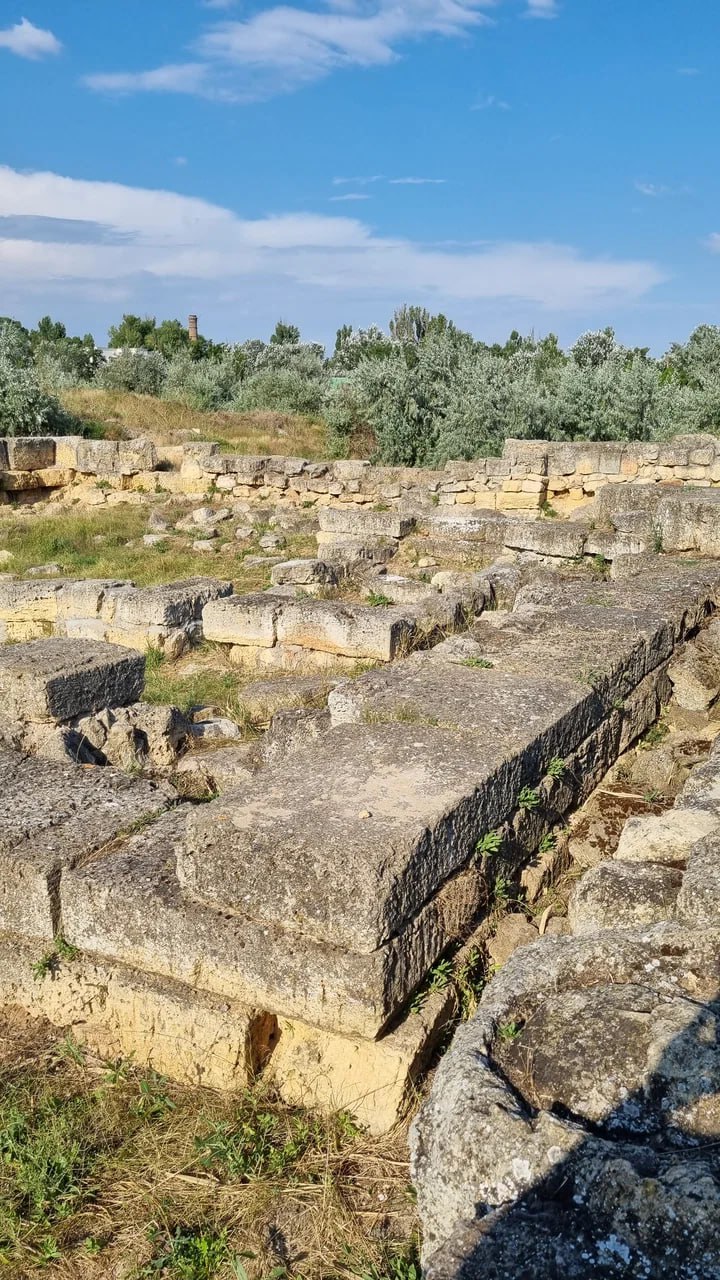  городище «Чайка»