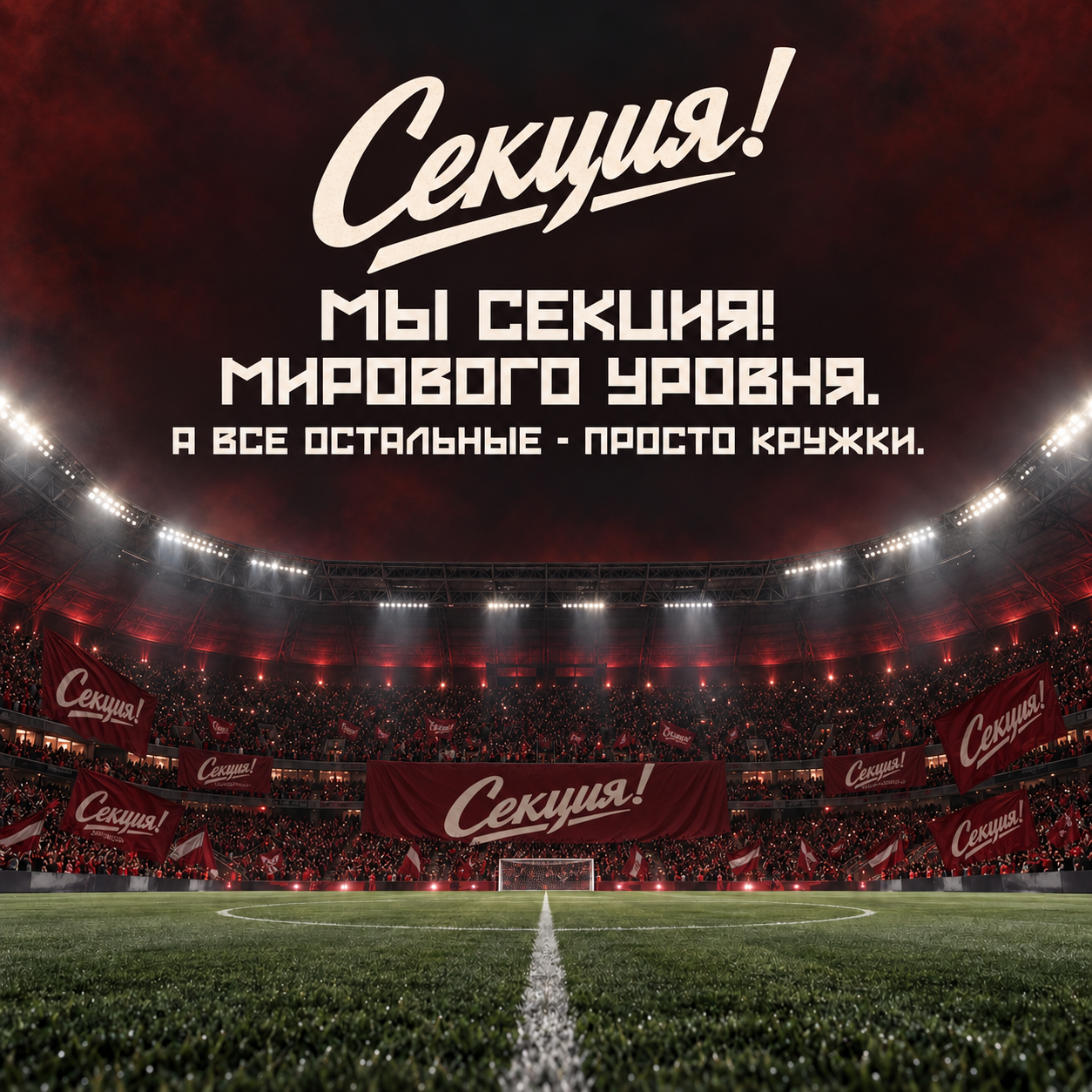 Мы Секция! мирового уровня. А все остальные - просто кружки. Стадион с флагами Секции.