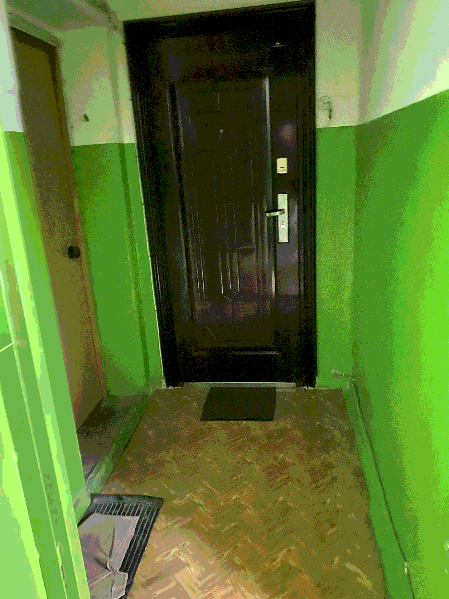 Входная дверь и подъезд