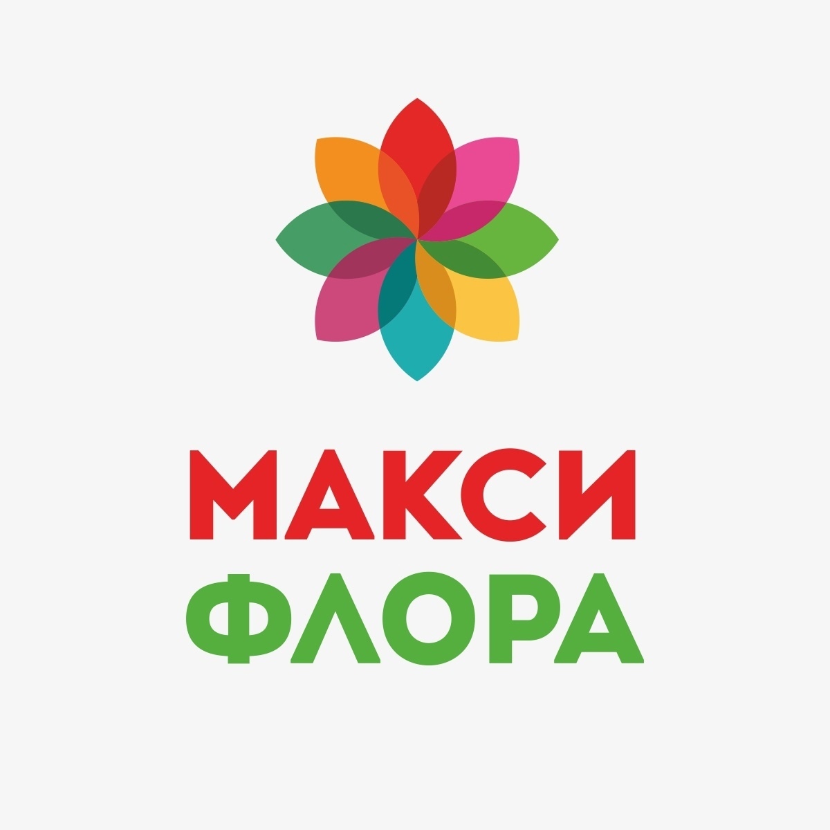 Максифлора киров