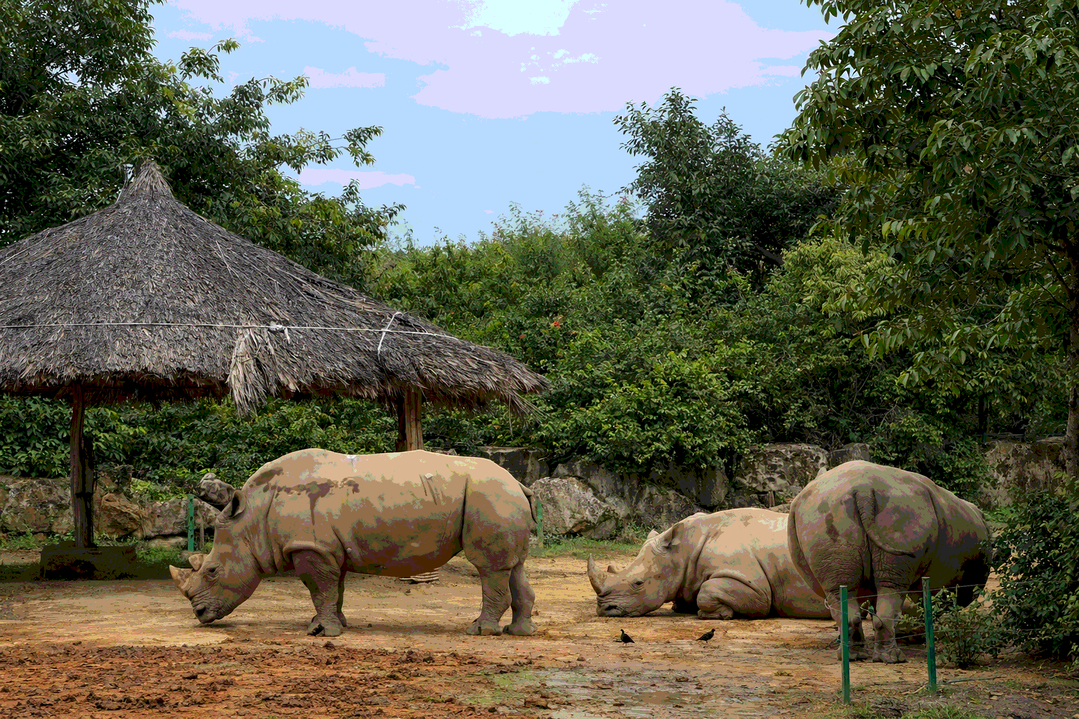 Животные на VinWonders