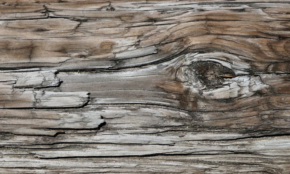 5 Myths About Reclaimed Barn Wood Debunked