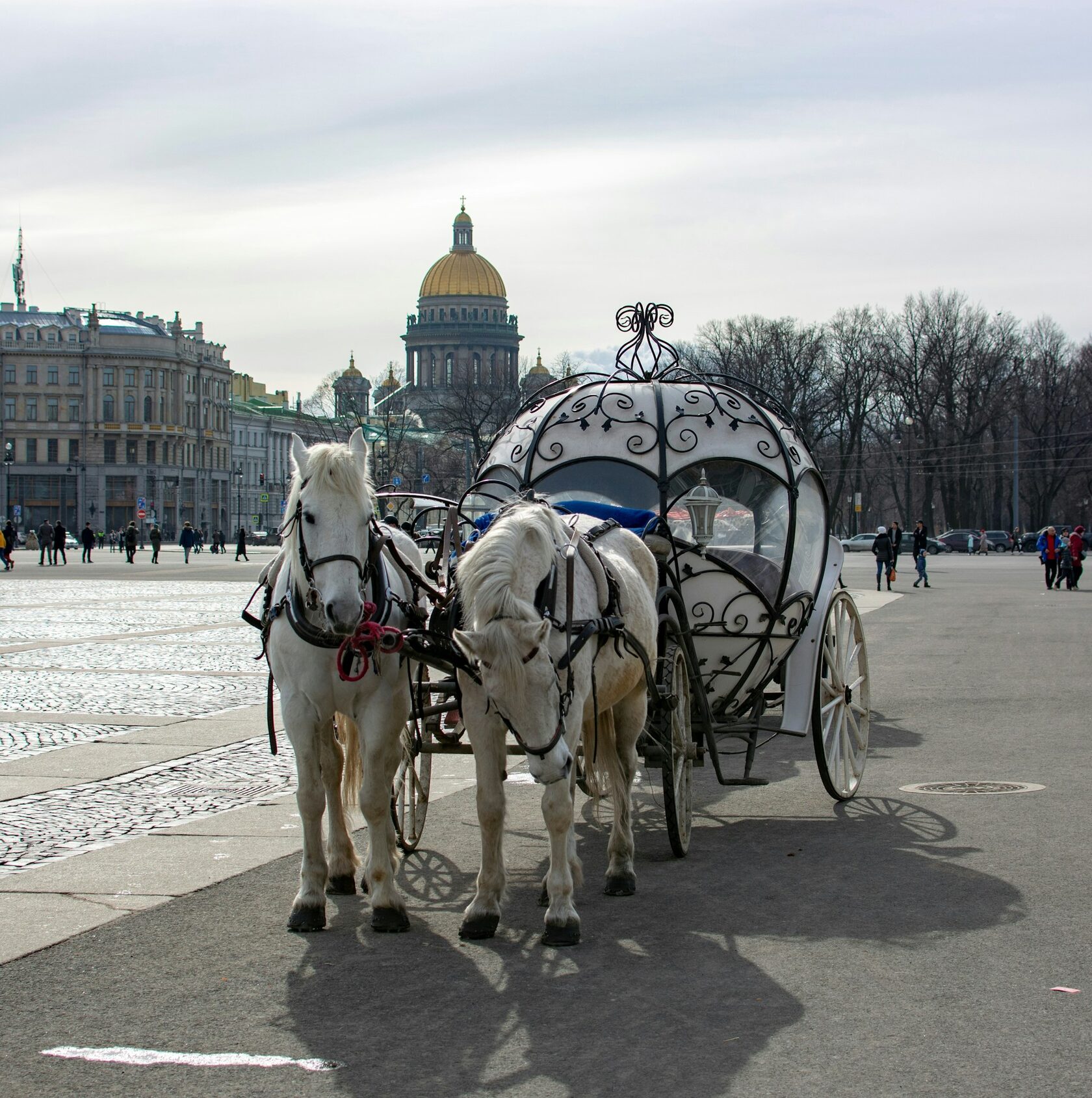Дворцовая площадь, Россия, Санкт-Петербург, ​Дворцовая площадь, 1