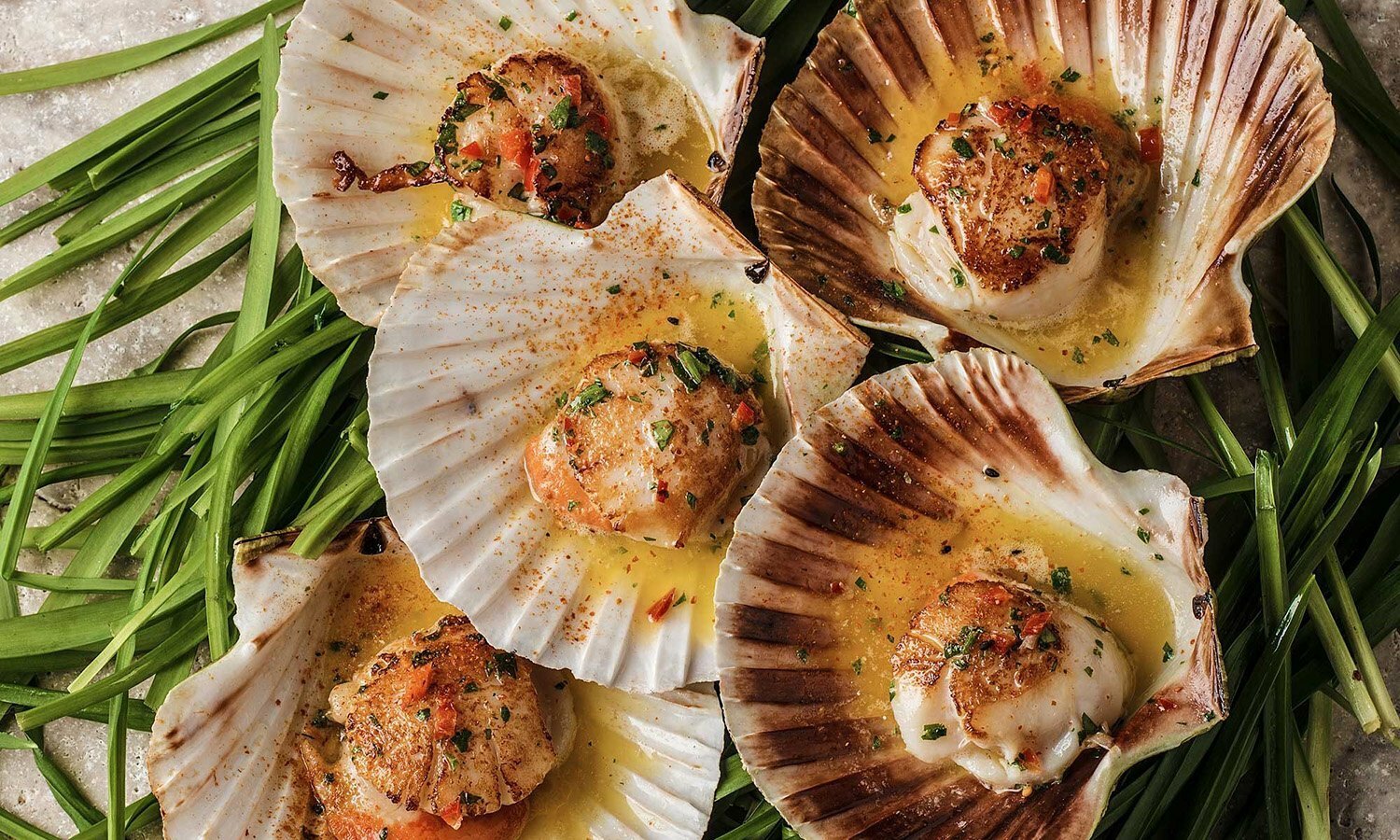 Scallops гребешки