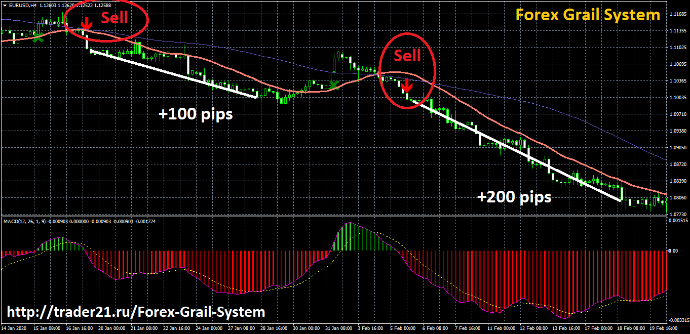 everyday pips forex trading system