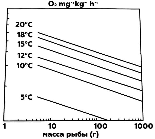 потребление кислорода лососем узв форель