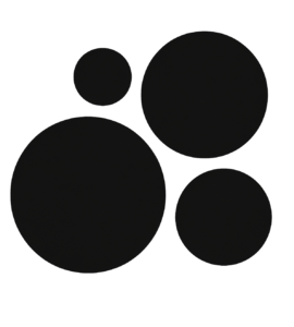 website icon