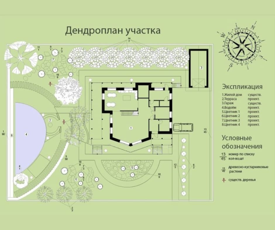 Дендроплан участка | Перечетная ведомость | Образец | Стоимость