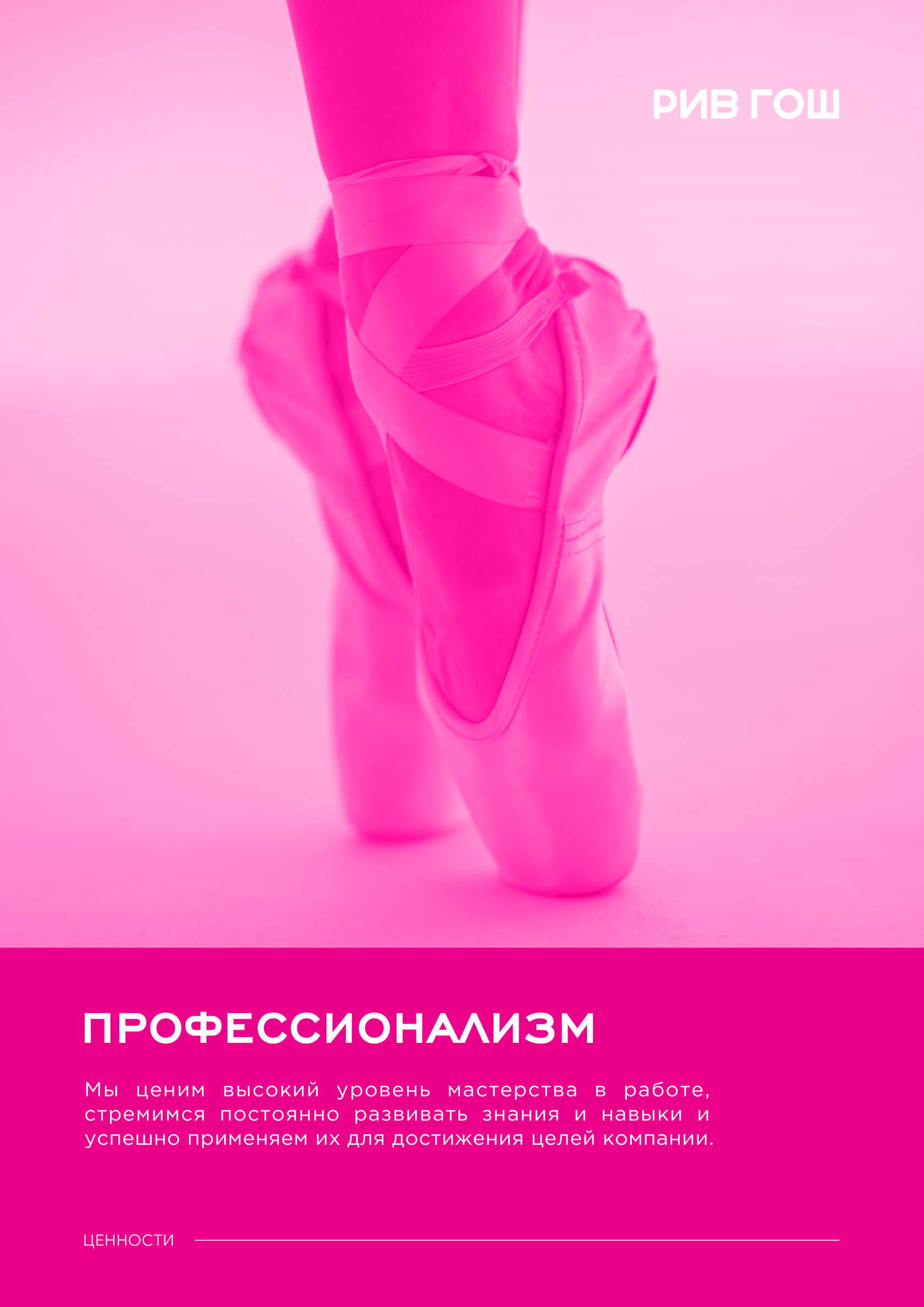 РИВ ГОШ – материал проекта
