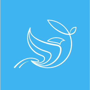 Диана гурцкая белая трость. Живи по зову сердца. По зову сердца фонд. Эмблема по зову сердца. Белая трость фестиваль 2022.