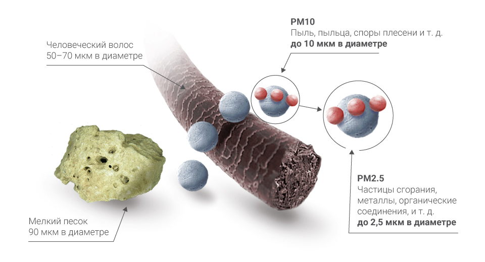 Сравнение размеров частиц. Частицы PM2.5 И pm10. PM 2.5 микрочастицы. Норма частиц PM 2.5. Частицы пыли PM 2,5.