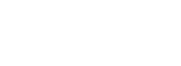  Penguin Day 