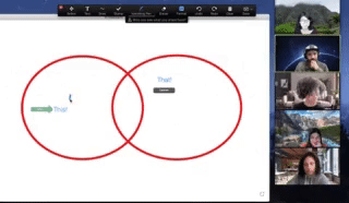 Vanishing ink annotations drawn during screen sharing in Zoom