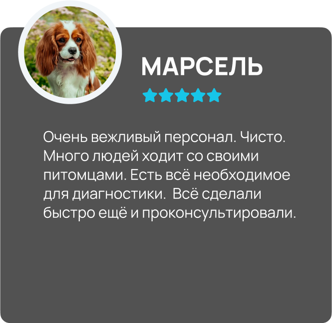Центр здоровья животных, ветеринарная клиника, ветеринарная клиника в Туле, ветклиника центр здоровья животных, ветклиника, ветклиника тула, стерилизация собак Тула, стерилизация кошек Тула, врач ветеринар на дом, врач ветеринар на дом Тула, врач для животны, врач для животных Тула, врач по почкам ветеринар, врач хирург ветеринар, Тула ветеринар, Ветеринарная больница Тула, Тула лечение животных, Тула вакцина собаке, Тула вакцина кошке, стерилизация Тула, кастрация Тула, груминг Тула, зоогостиница Тула, передержка животных Тула, ветеринарная аптека Тула, ветеринарный врач Тула, лечение животных, вакцинация, стерилизация, кастрация, кастрация собак, кастрация кошек, кастрация Тула, кастрация собак Тула, кастрация кошек Тула, груминг, груминг Тула, зоогостиница, передержка животных, ветеринарная аптека.