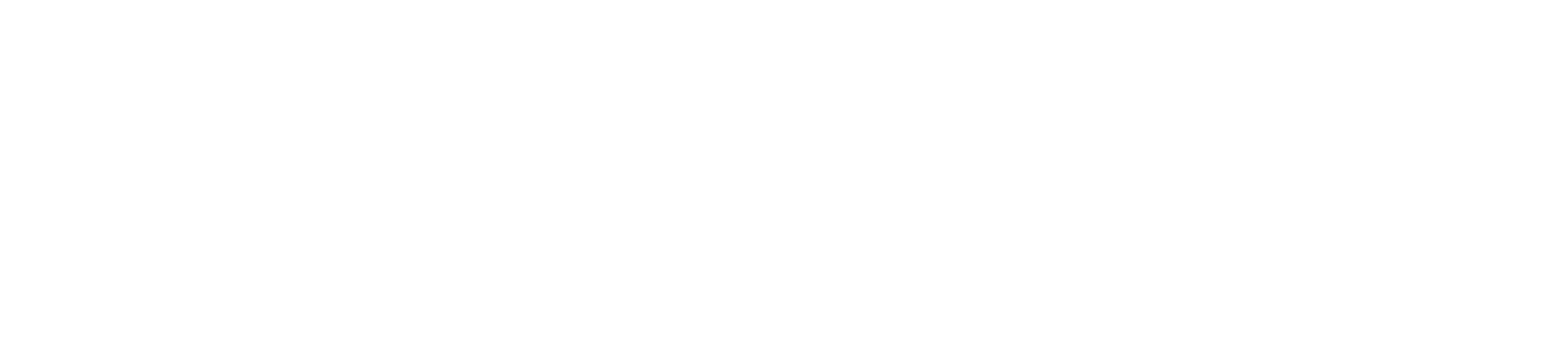  PISATELI FOREST 