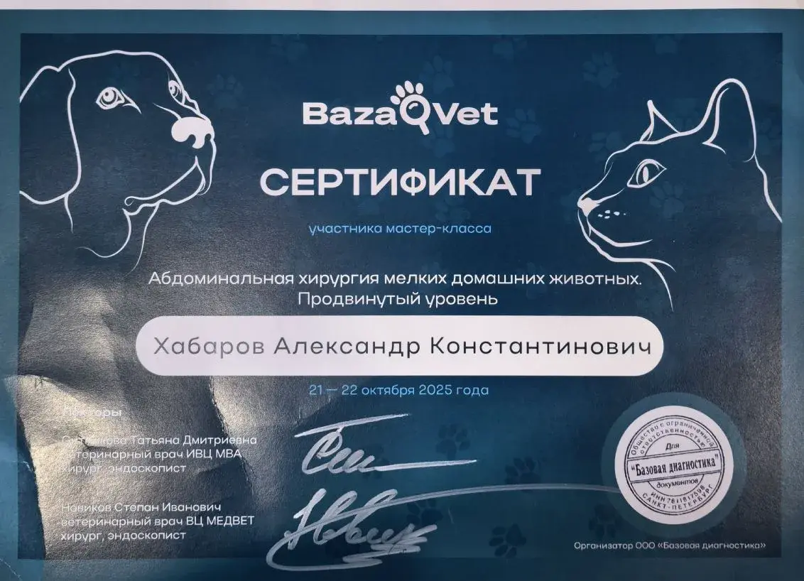 Сертификат 2 Хабарова А.К.