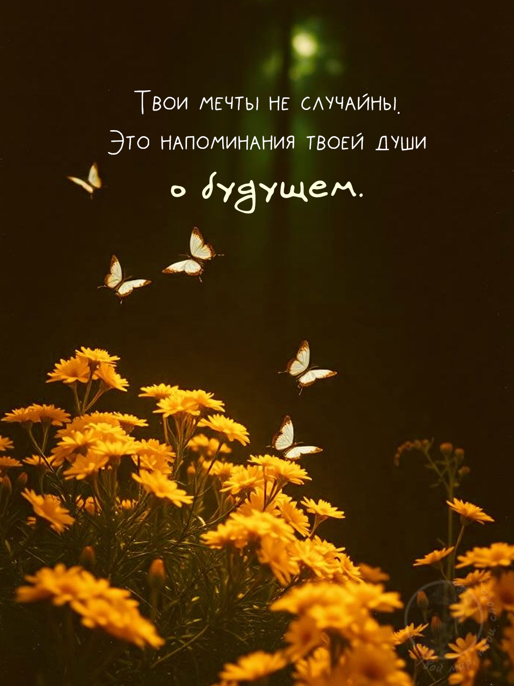 Картинки с добрыми цитатами: вдохновляющая надпись о мечтах на фоне желтых цветов и порхающих бабочек в теплых тонах.