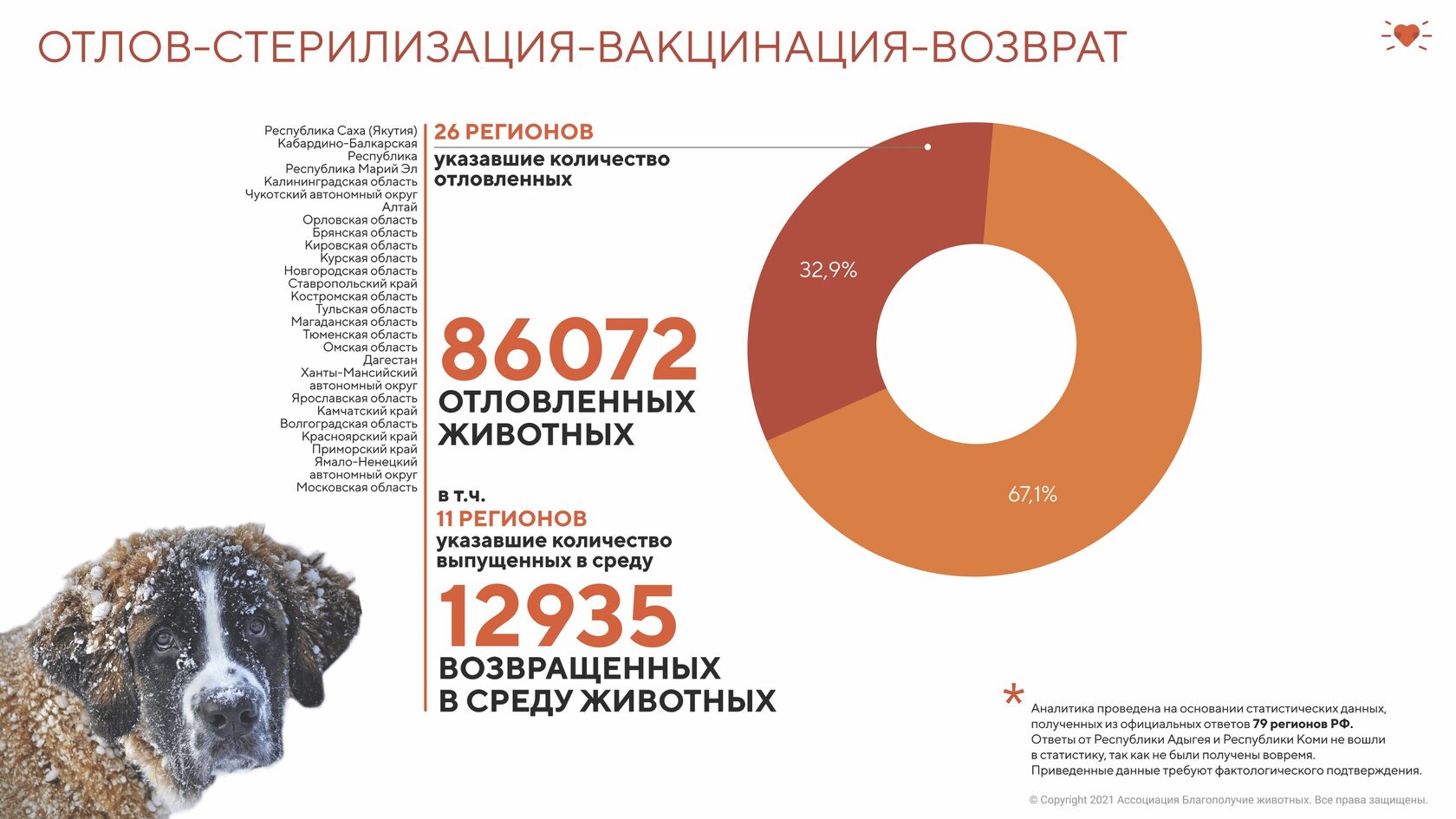 Статистика мониторинга численности безнадзорных животных