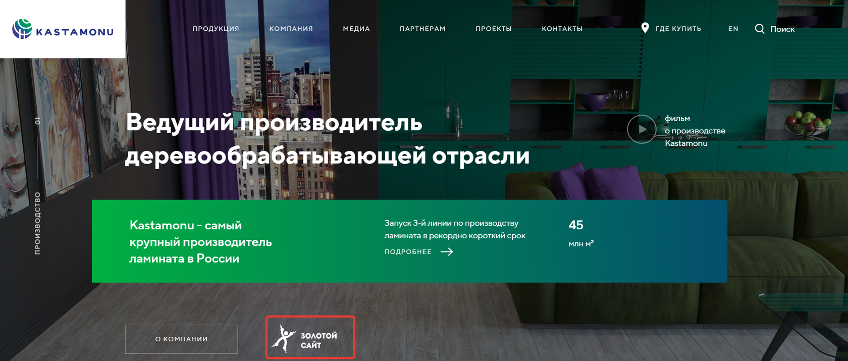 Проект Kastamonu