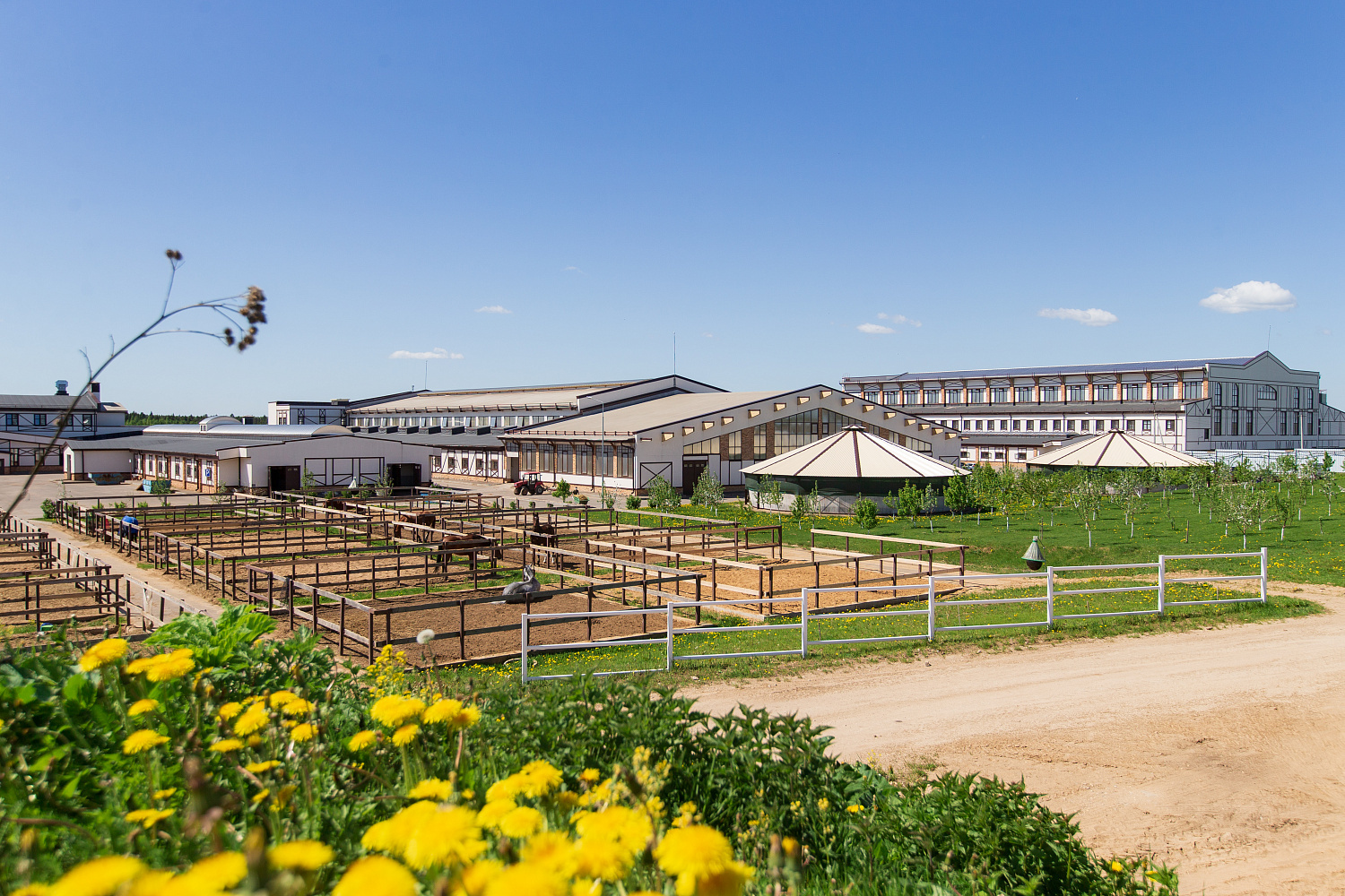 Максимум парк. Максима парк Катуар. Maxima Park горки Сухаревские.