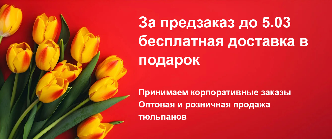 8 марта