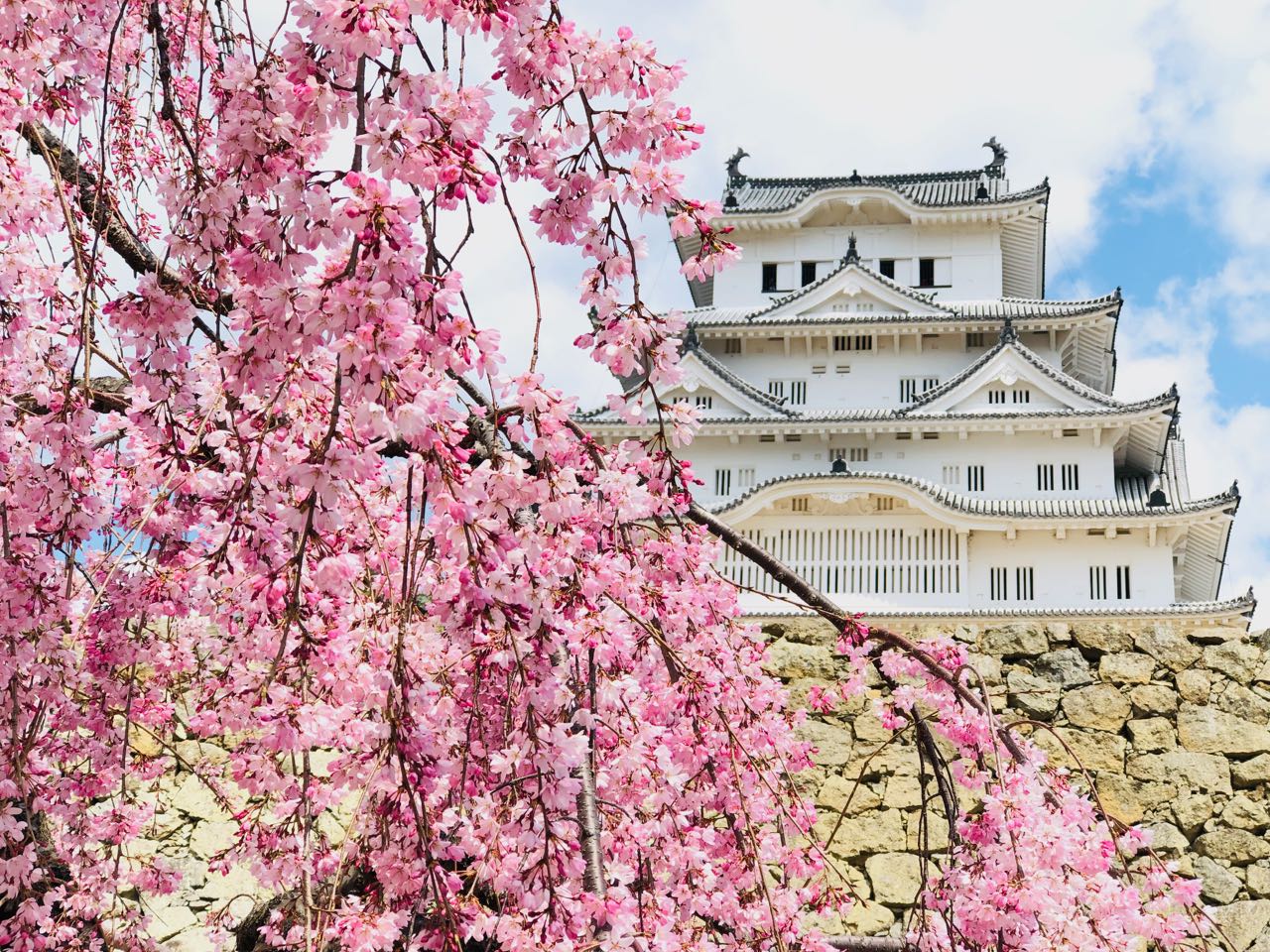 Япония дворец Сакура сад