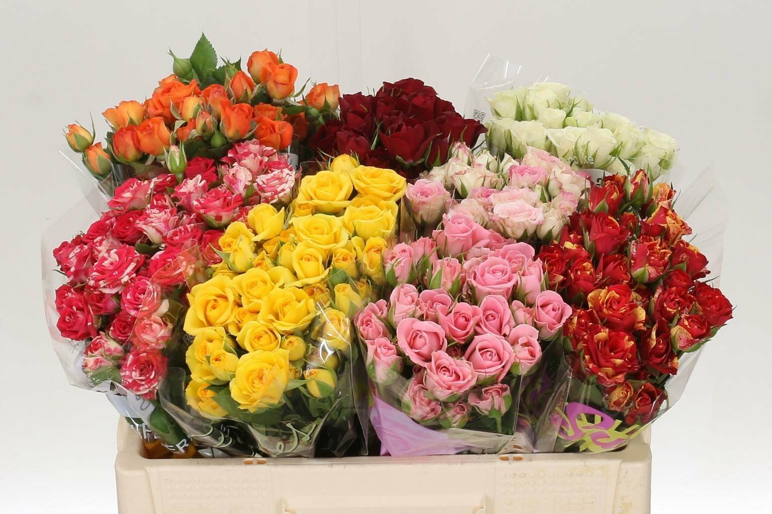 Сбалансированный заказ для крупного клиента - 3-4 коробки красной и белой розы, 1-2 цветной и еще 2-3 миксовых