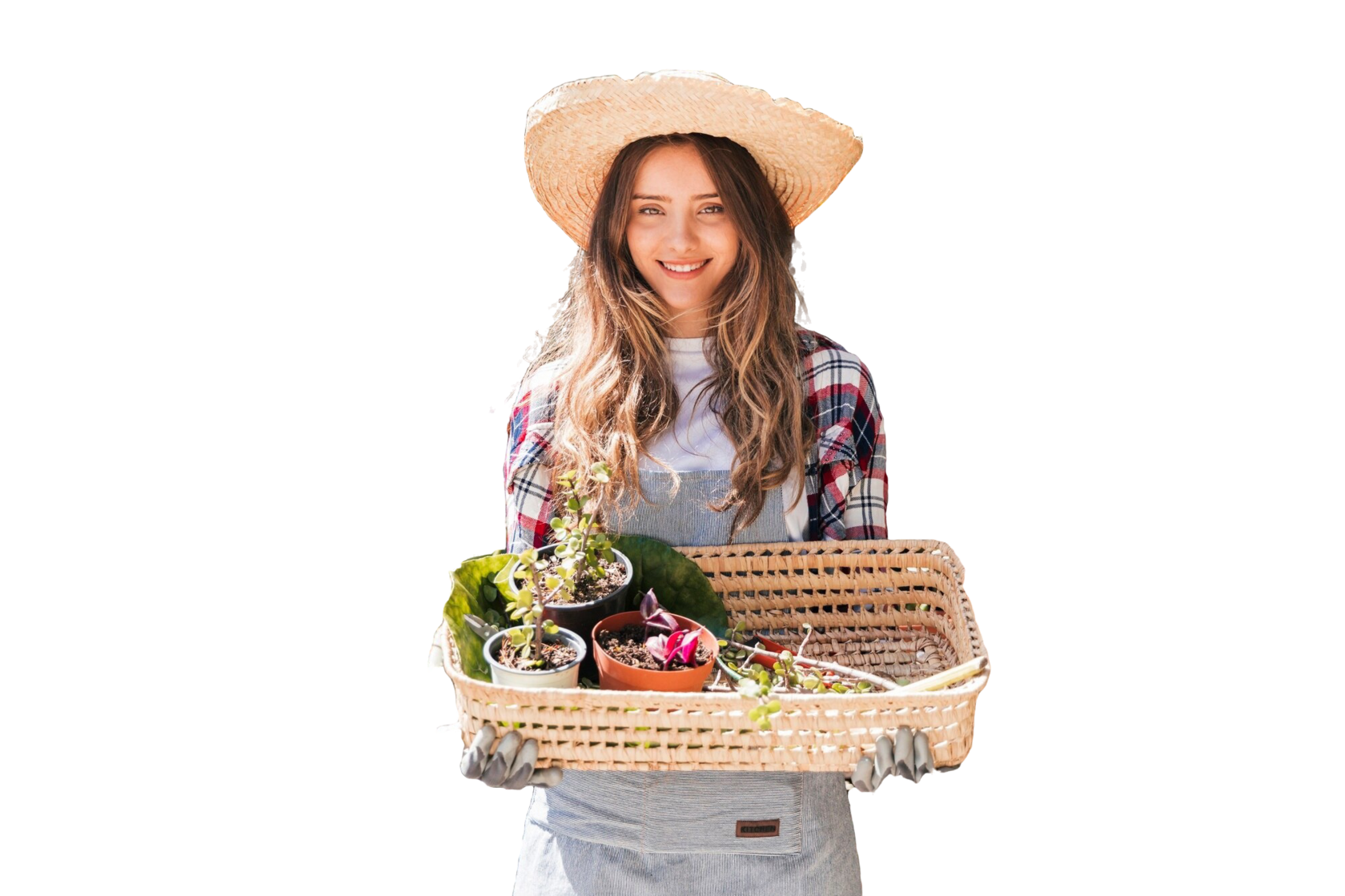 высокие грядки из дпк купить в Санкт-Петербурге 